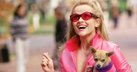 legally blonde